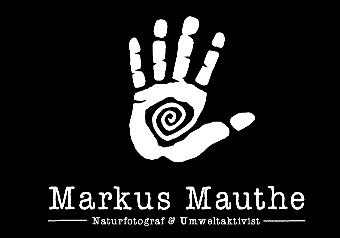 Markus Mauthe
